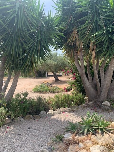 5 soveværelse Finca/Landehus til salg i El Perello med swimmingpool - € 550.000 (Ref: 9479541)