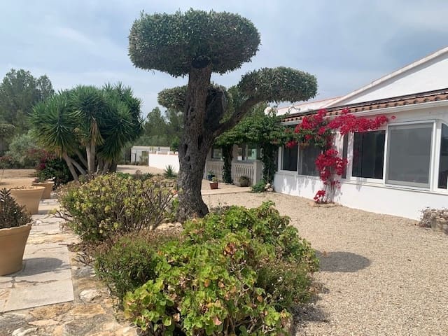 5 soveværelse Finca/Landehus til salg i El Perello med swimmingpool - € 550.000 (Ref: 9479541)