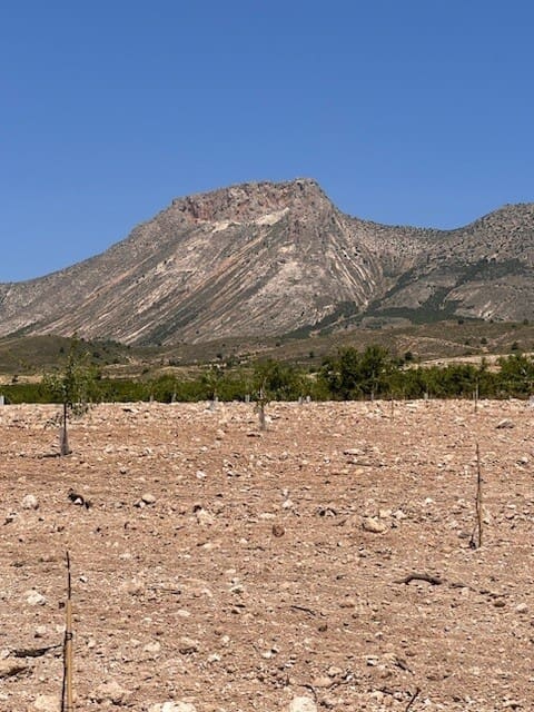 Terreno/Finca Rústica en Doña Ines en venta - 229.000 € (Ref: 9479545)