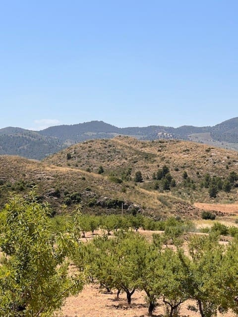 Terreno/Finca Rústica en Doña Ines en venta - 229.000 € (Ref: 9479545)