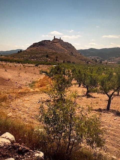 Terreno/Finca Rústica en Doña Ines en venta - 229.000 € (Ref: 9479545)