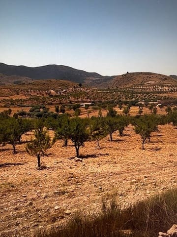 Terreno/Finca Rústica en Doña Ines, Lorca en venta - 229.000 € (Ref: 9479545)