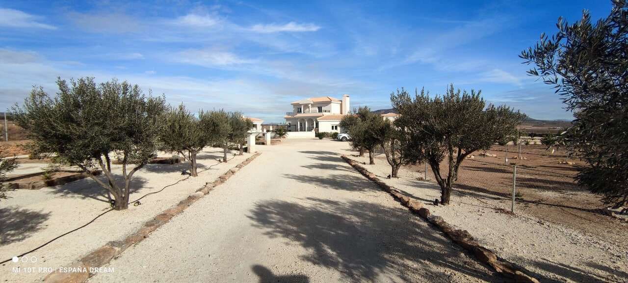 4 bedroom Villa for sale in Pinoso with pool - € 475,000 (Ref: 9479549)