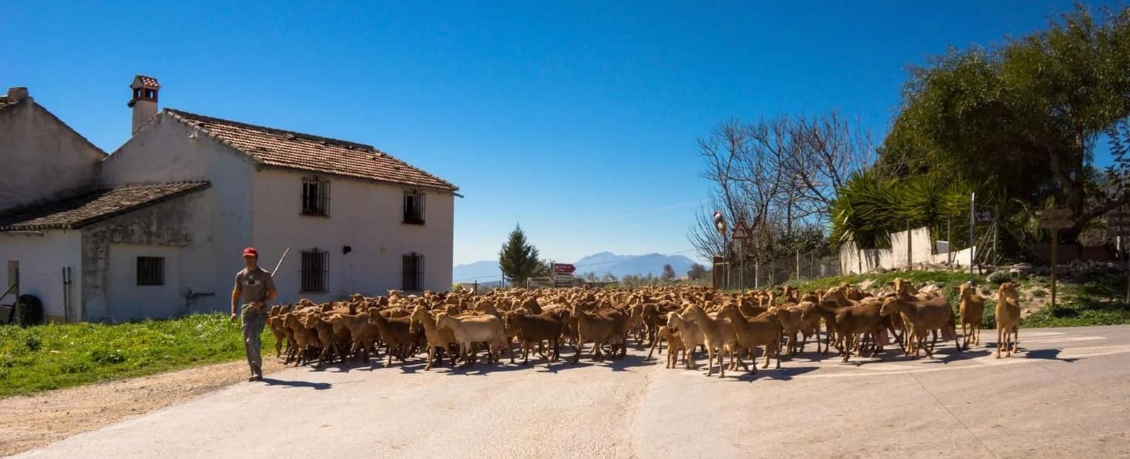 2 soverom Husvogn til salgs i Mollina med svømmebasseng - € 59 500 (Ref: 9479555)
