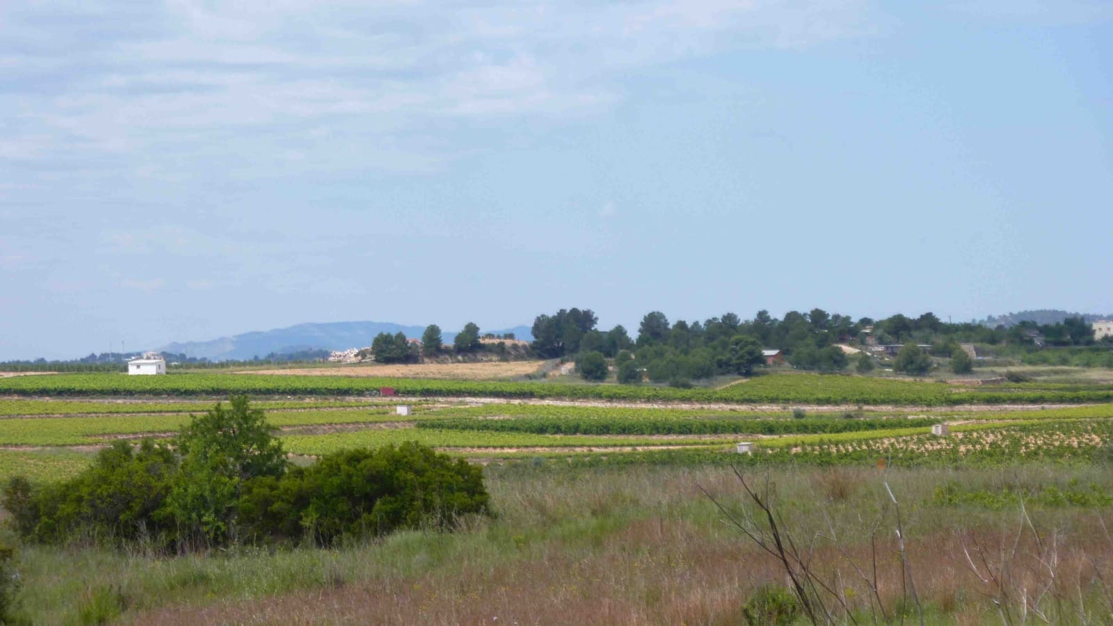 6 Zimmer Villa zu verkaufen in Valencia Stadt mit Pool - 275.000 € (Ref: 9479562)