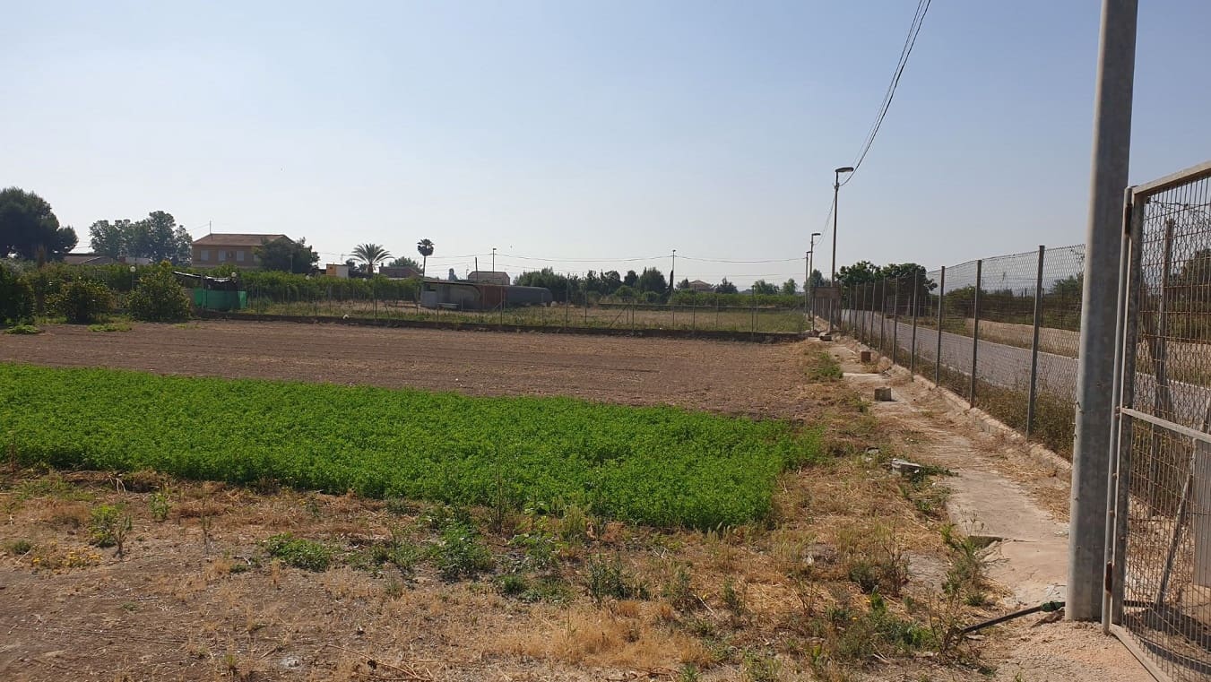 Finka/Dom wiejski na sprzedaż w El Esparragal - 450 000 € (Ref: 6970759)