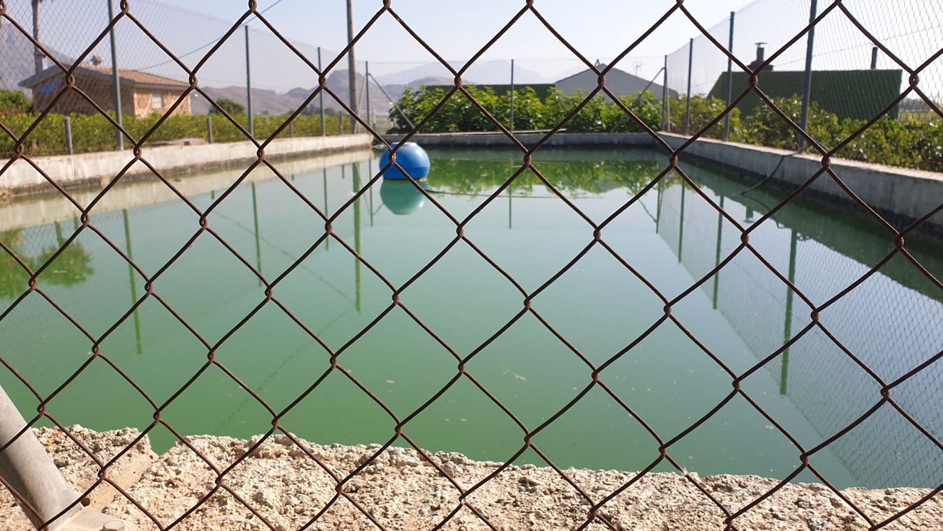 Finka/Dom wiejski na sprzedaż w El Esparragal - 450 000 € (Ref: 6970759)