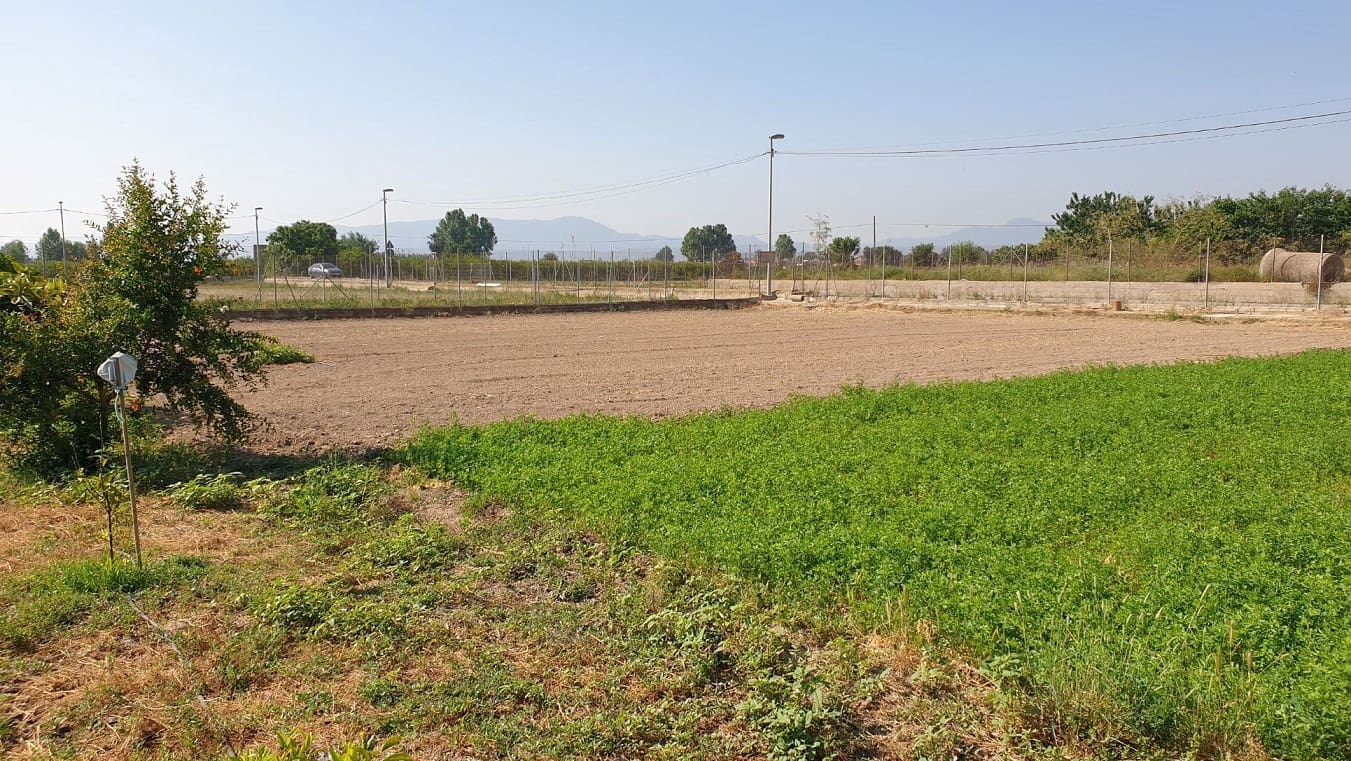 Finka/Dom wiejski na sprzedaż w El Esparragal - 450 000 € (Ref: 6970759)