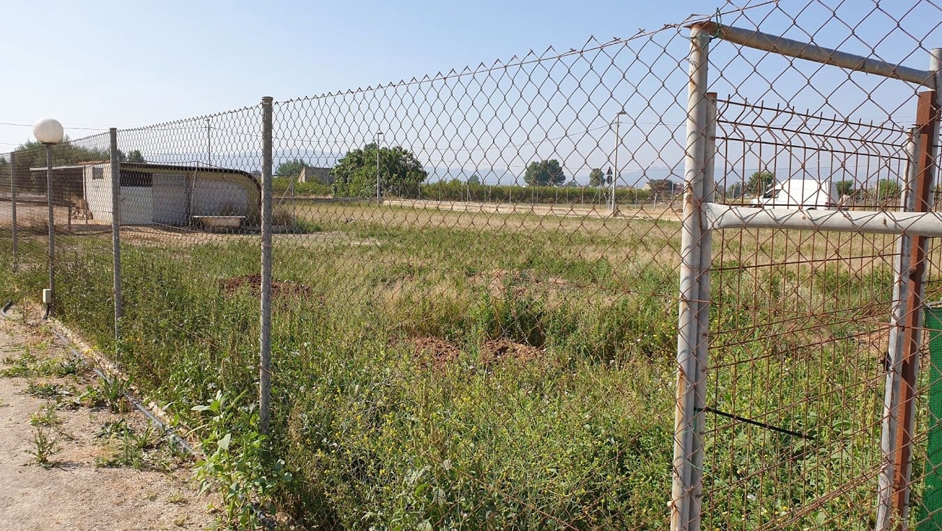 Finka/Dom wiejski na sprzedaż w El Esparragal - 450 000 € (Ref: 6970759)