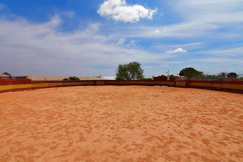 2 soveværelse Finca/Landehus til salg i San Cayetano med swimmingpool garage - € 320.000 (Ref: 8318919)