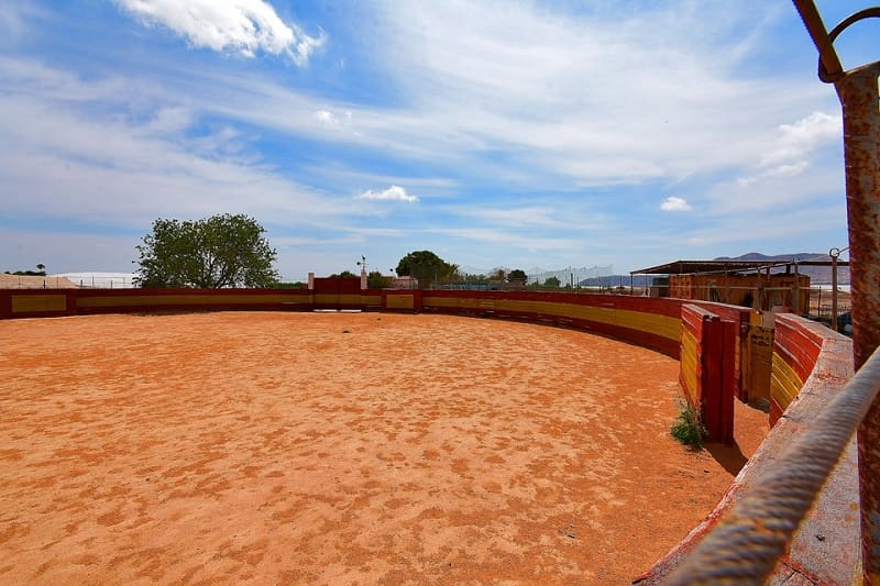 2 soveværelse Finca/Landehus til salg i San Cayetano med swimmingpool garage - € 320.000 (Ref: 8318919)