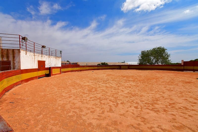 2 soveværelse Finca/Landehus til salg i San Cayetano med swimmingpool garage - € 320.000 (Ref: 8318919)