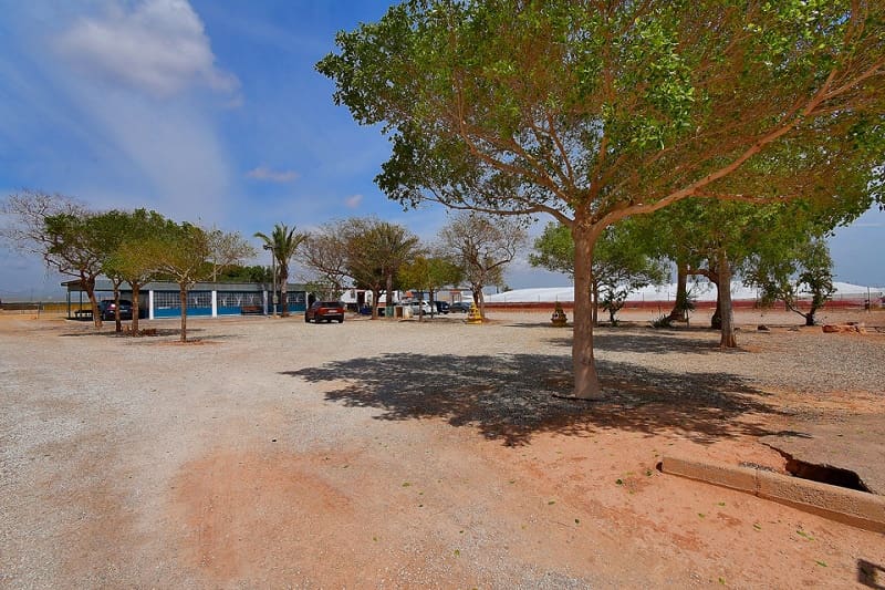 2 soveværelse Finca/Landehus til salg i San Cayetano med swimmingpool garage - € 320.000 (Ref: 8318919)