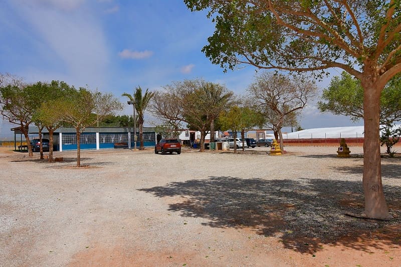 2 soveværelse Finca/Landehus til salg i San Cayetano med swimmingpool garage - € 320.000 (Ref: 8318919)