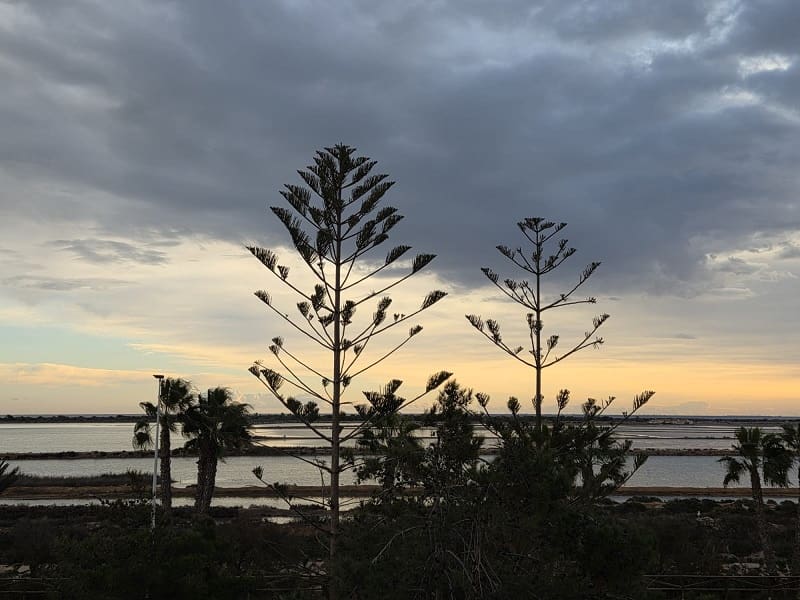 3 camera da letto Casa in vendita in San Pedro del Pinatar - 198.000 € (Rif: 9688746)