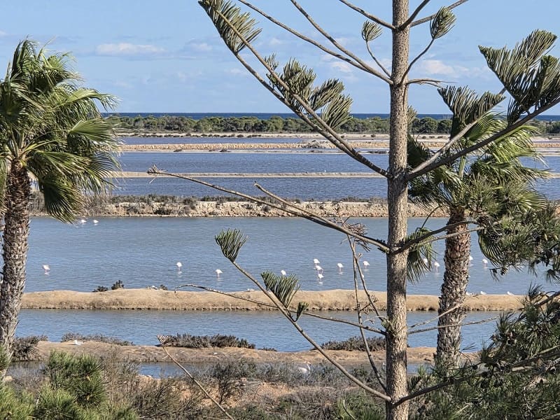 3 camera da letto Casa in vendita in San Pedro del Pinatar - 198.000 € (Rif: 9688746)