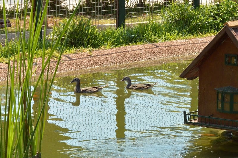 2 quarto Casa em Banda para arrendamento para férias em Los Urrutias com piscina - 520 € (Ref: 9800125)