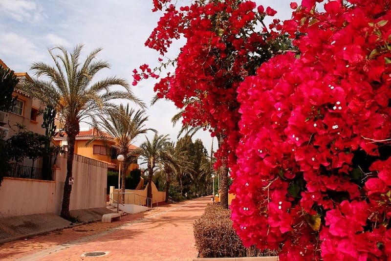 Pareado de 3 habitaciones en Los Urrutias en alquiler vacacional con piscina garaje - 590 € (Ref: 9800205)