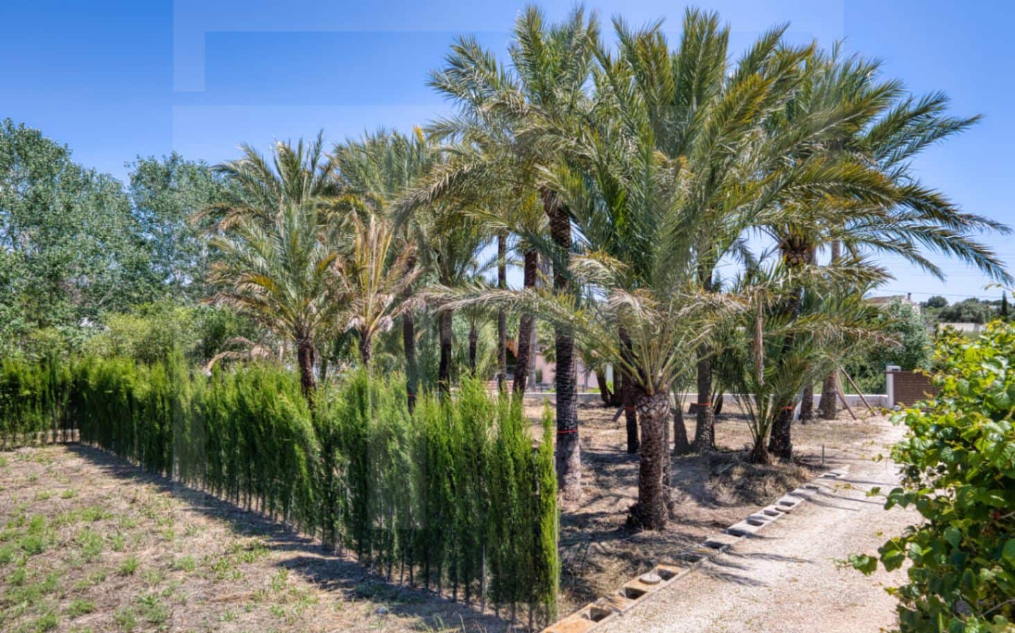 3 soveværelse Finca/Landehus til salg i Teulada - € 595.000 (Ref: 9669431)