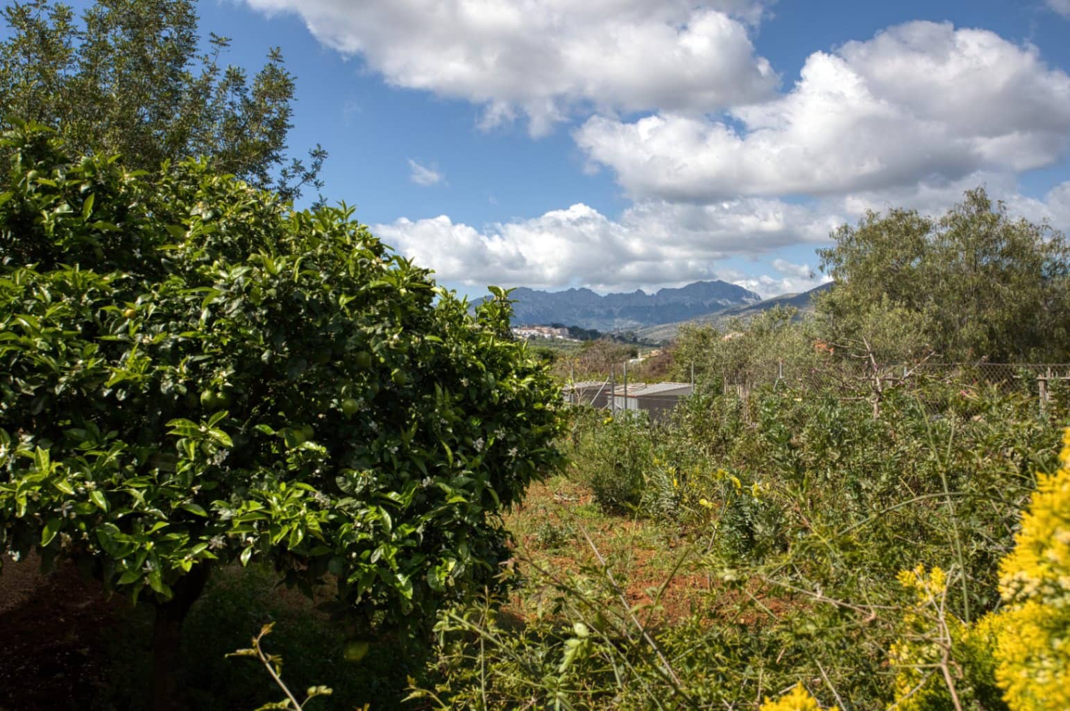 4 soveværelse Finca/Landehus til salg i Benissa - € 525.000 (Ref: 9816453)