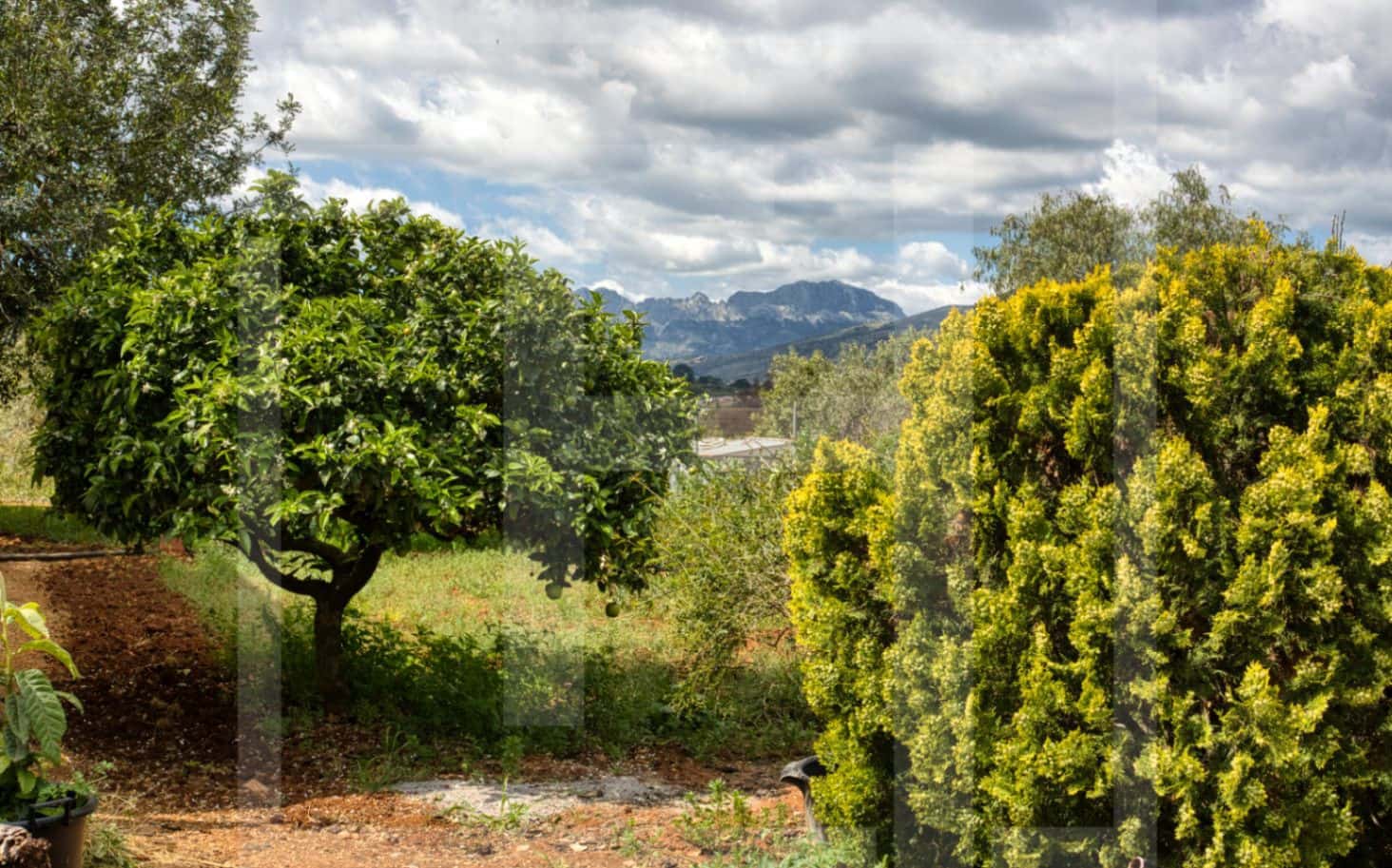 4 soveværelse Finca/Landehus til salg i Benissa - € 525.000 (Ref: 9816453)
