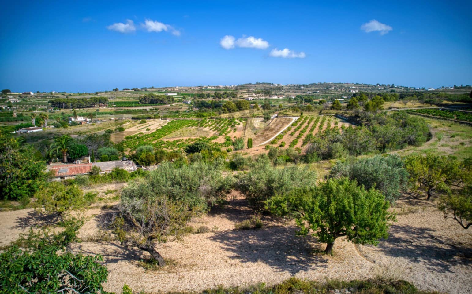 4 bedroom Finca/Country House for sale in Teulada - € 260,000 (Ref: 9816458)