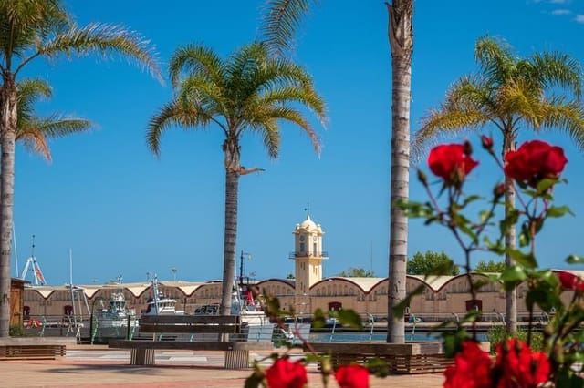 3 Zimmer Apartment zu verkaufen in Gandia - 239.000 € (Ref: 10041272)