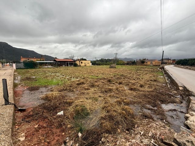 Undeveloped Land for sale in Palma de Gandía - € 25,000 (Ref: 8773905)