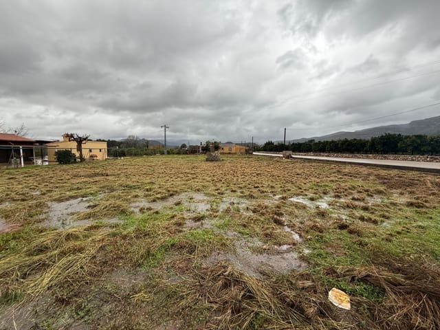 Undeveloped Land for sale in Palma de Gandía - € 25,000 (Ref: 8773905)