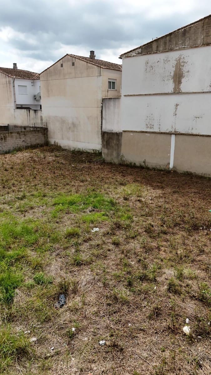 Byggegrund til salg i Palma de Gandia - € 150.000 (Ref: 8915317)