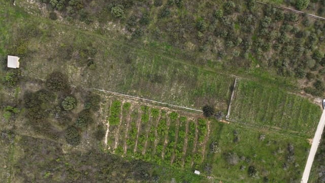 Terre non Aménagée à vendre à Barxeta - 30 000 € (Ref: 9726821)