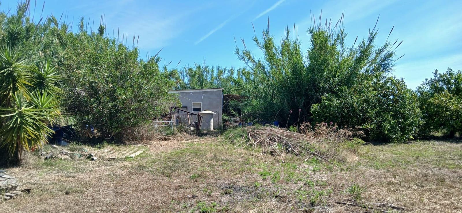Grunde uden byggetilladelser til salg i Oliva - € 45.000 (Ref: 9846591)