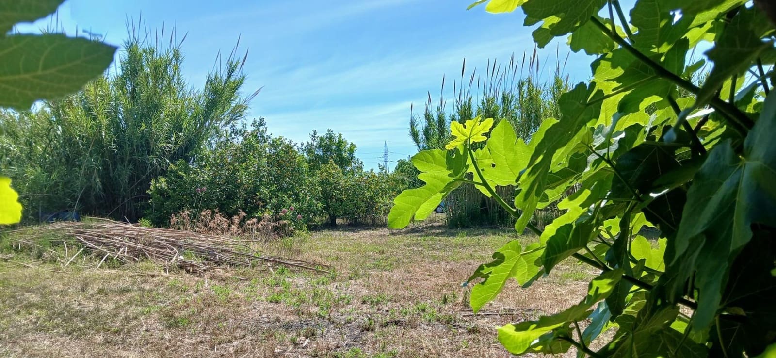 Grunde uden byggetilladelser til salg i Oliva - € 45.000 (Ref: 9846591)