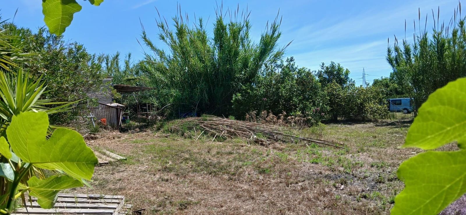 Grunde uden byggetilladelser til salg i Oliva - € 45.000 (Ref: 9846591)