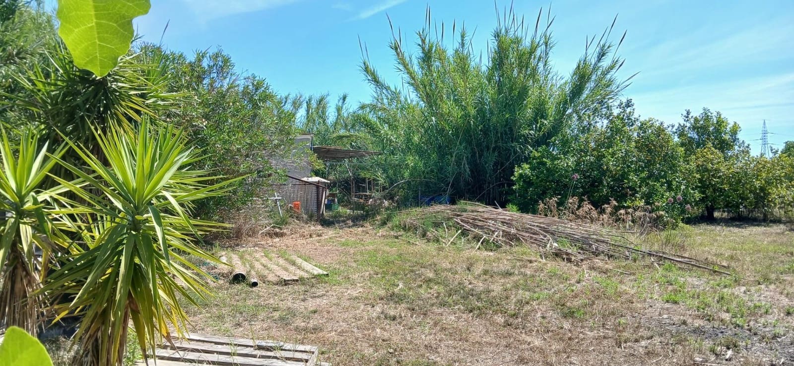 Grunde uden byggetilladelser til salg i Oliva - € 45.000 (Ref: 9846591)