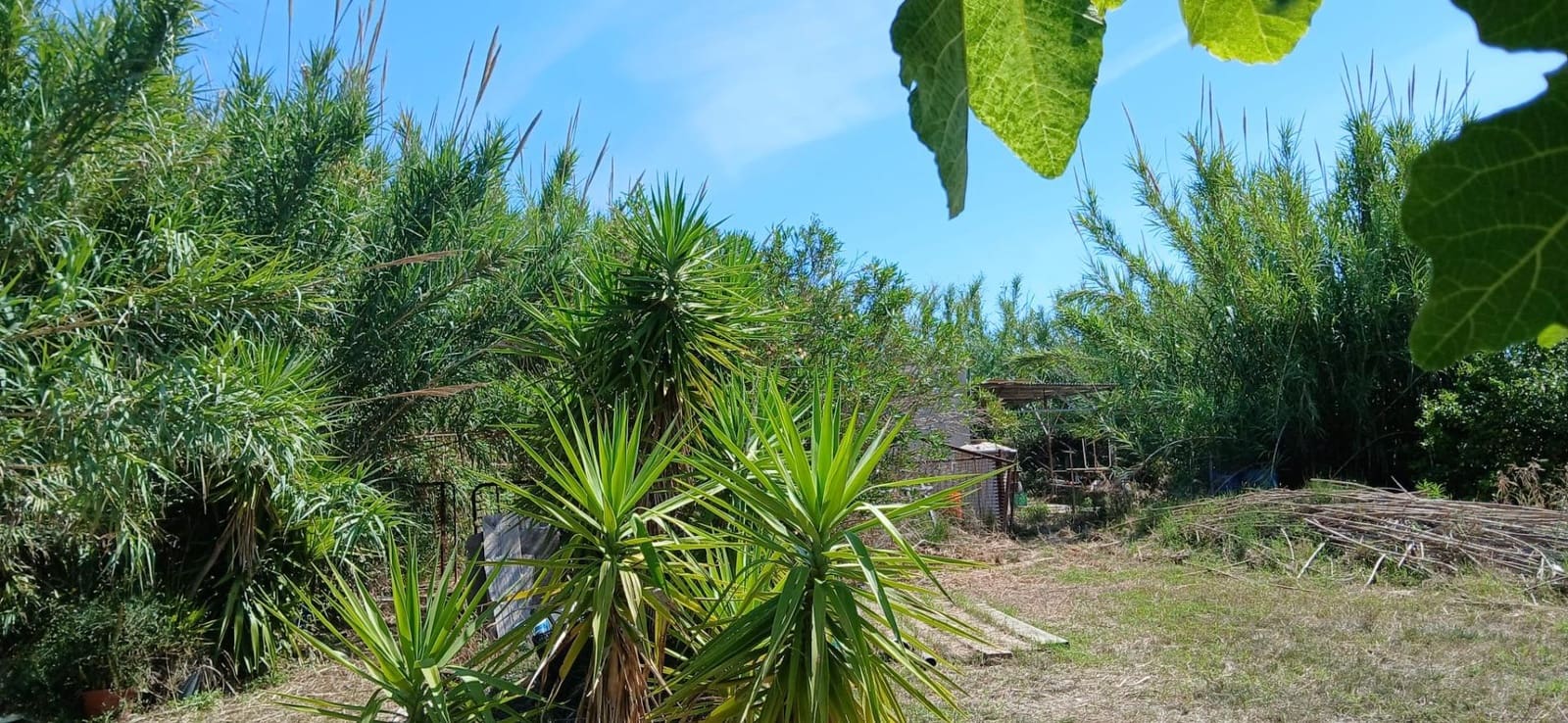 Grunde uden byggetilladelser til salg i Oliva - € 45.000 (Ref: 9846591)