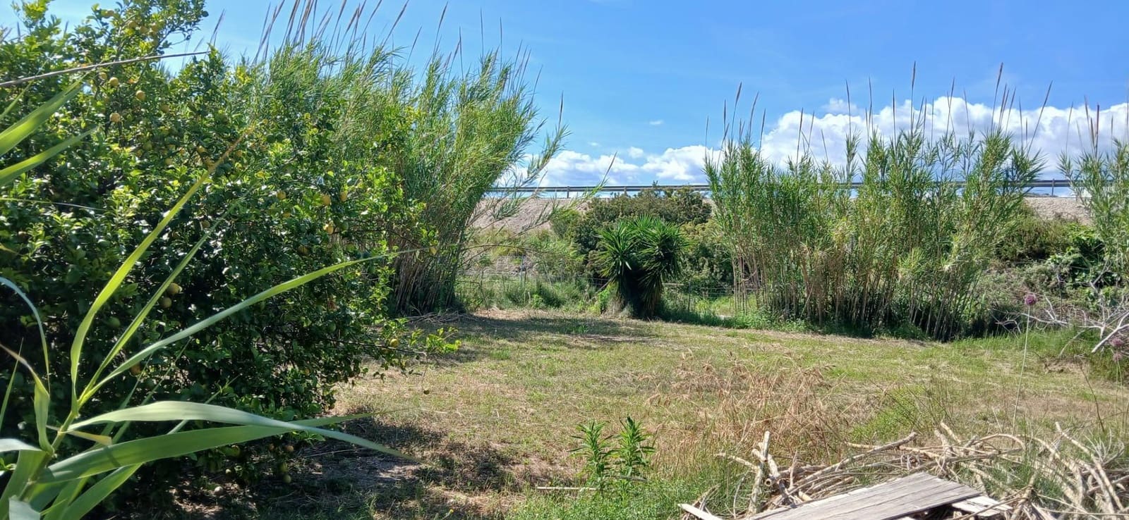 Grunde uden byggetilladelser til salg i Oliva - € 45.000 (Ref: 9846591)