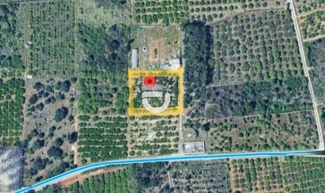 Terreno Não Urbanizado para venda em Gandia - 6 500 € (Ref: 9898976)