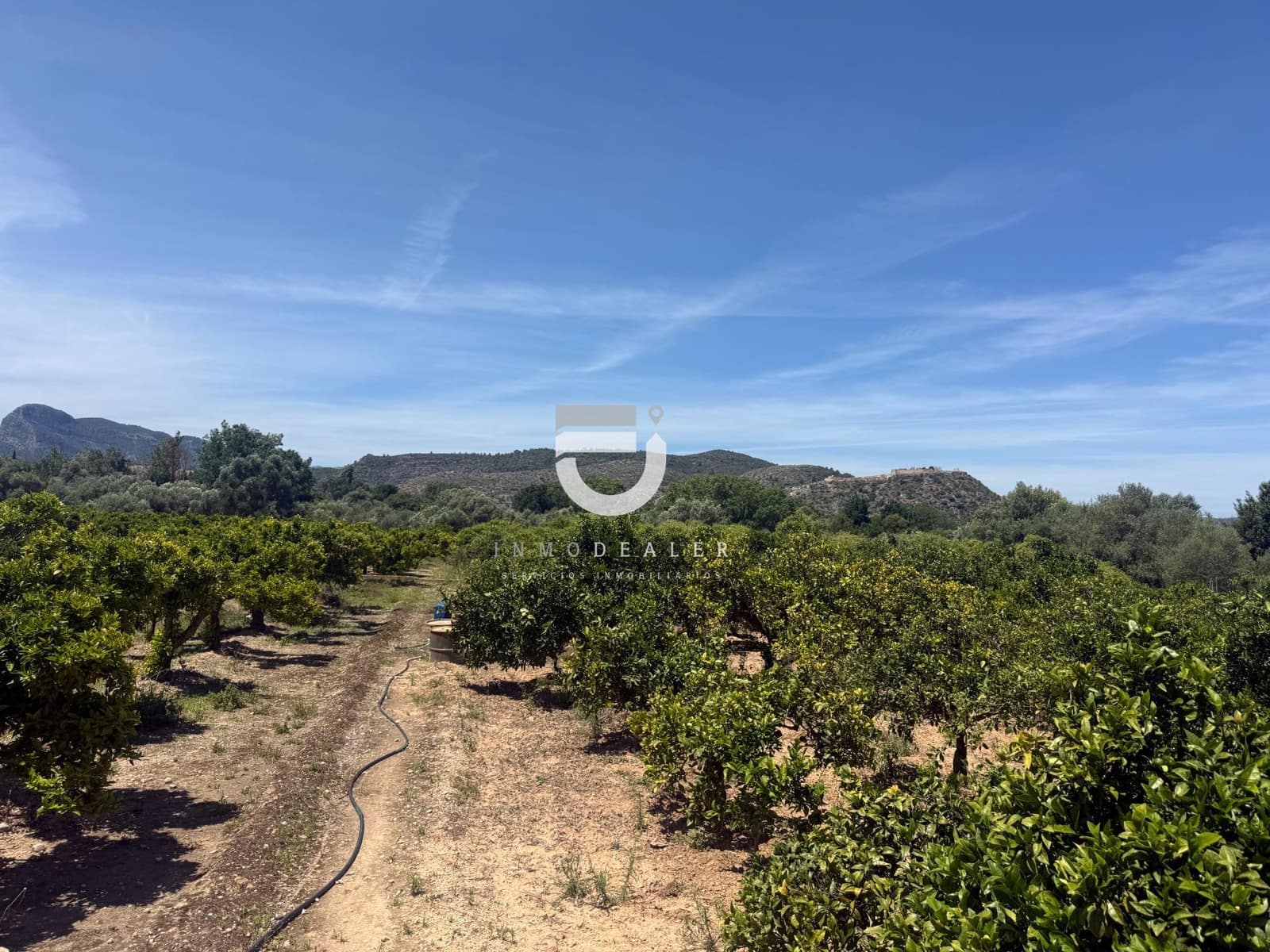 Terreno Não Urbanizado para venda em Gandia - 6 500 € (Ref: 9898976)