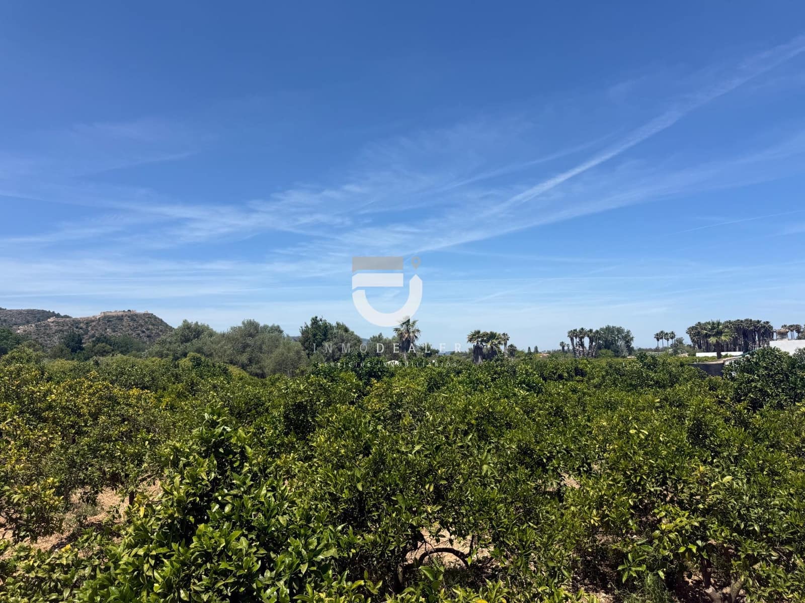 Terreno Não Urbanizado para venda em Gandia - 6 500 € (Ref: 9898976)