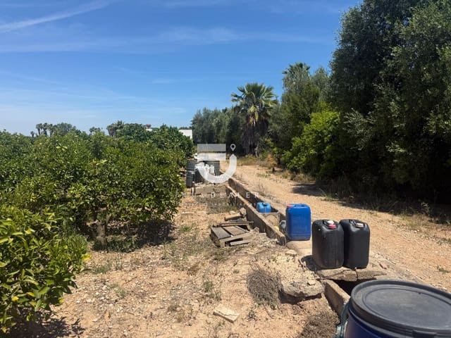 Terreno Não Urbanizado para venda em Gandia - 6 500 € (Ref: 9898976)
