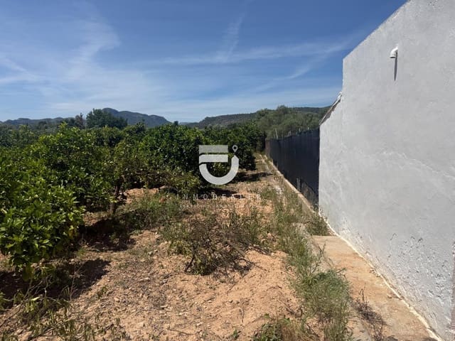 Terreno Não Urbanizado para venda em Gandia - 6 500 € (Ref: 9898976)