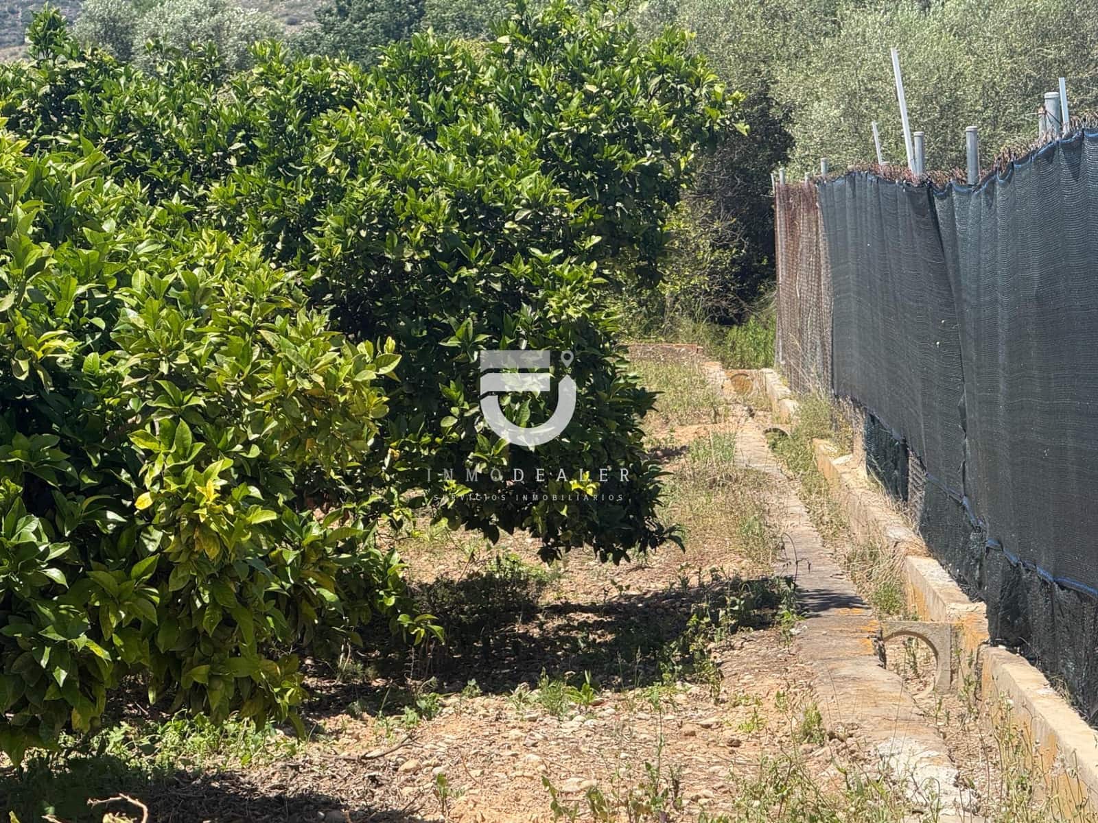 Terreno Não Urbanizado para venda em Gandia - 6 500 € (Ref: 9898976)