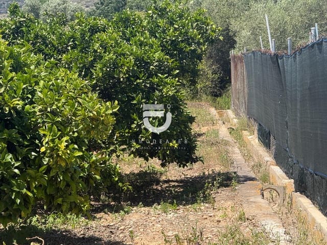 Terreno Não Urbanizado para venda em Gandia - 6 500 € (Ref: 9898976)