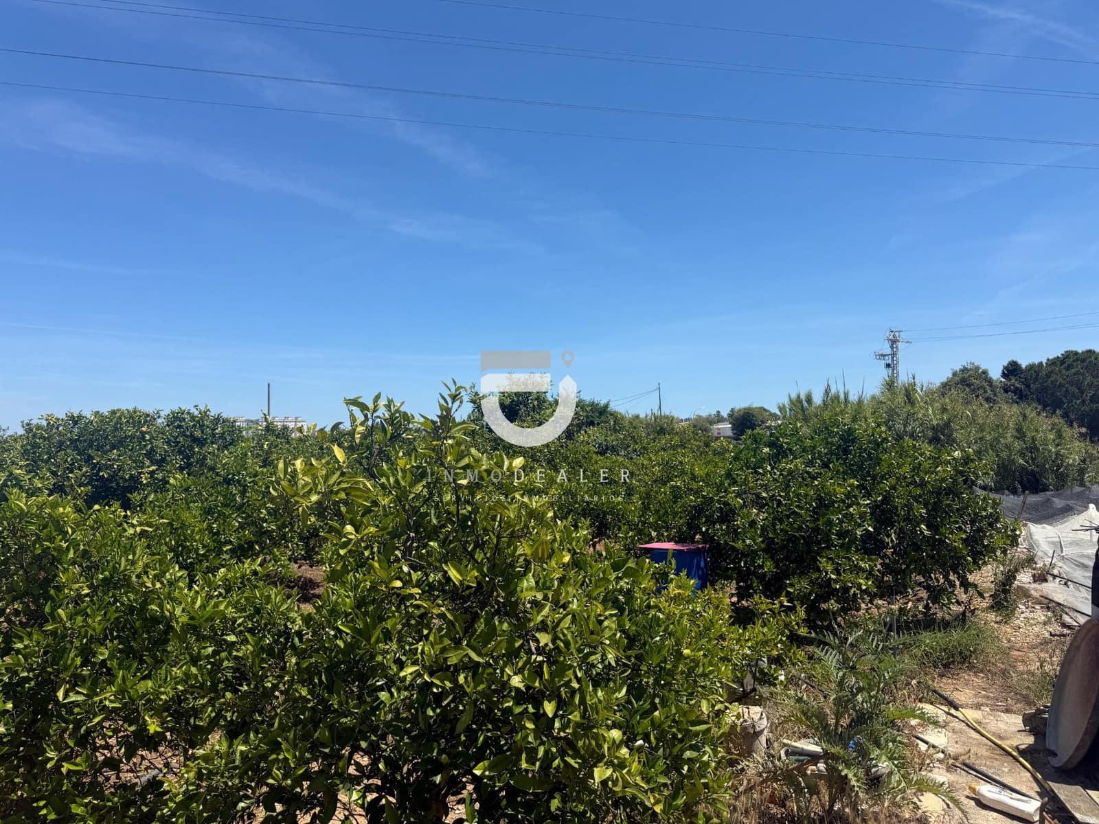 Terre non Aménagée à vendre à Gandia - 11 500 € (Ref: 9898977)