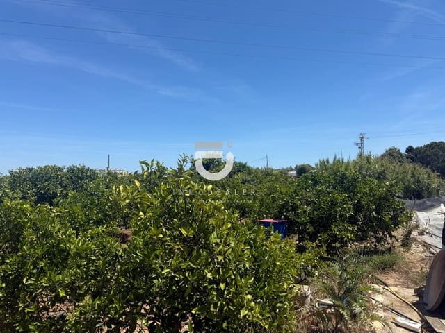 Undeveloped Land for sale in Gandia - € 11,500 (Ref: 9898977)