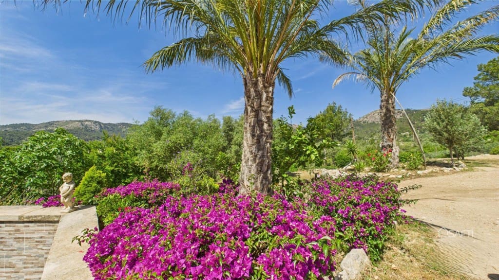 4 sovrum Finca/Hus på landet till salu i Andratx med pool - 2 400 000 € (Ref: 10013040)