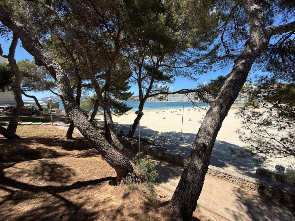 Commercieel te koop in Calvia - € 149.000 (Ref: 10013052)
