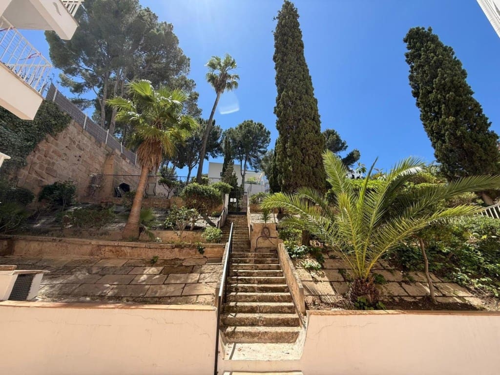 Commercieel te koop in Calvia - € 149.000 (Ref: 10013052)