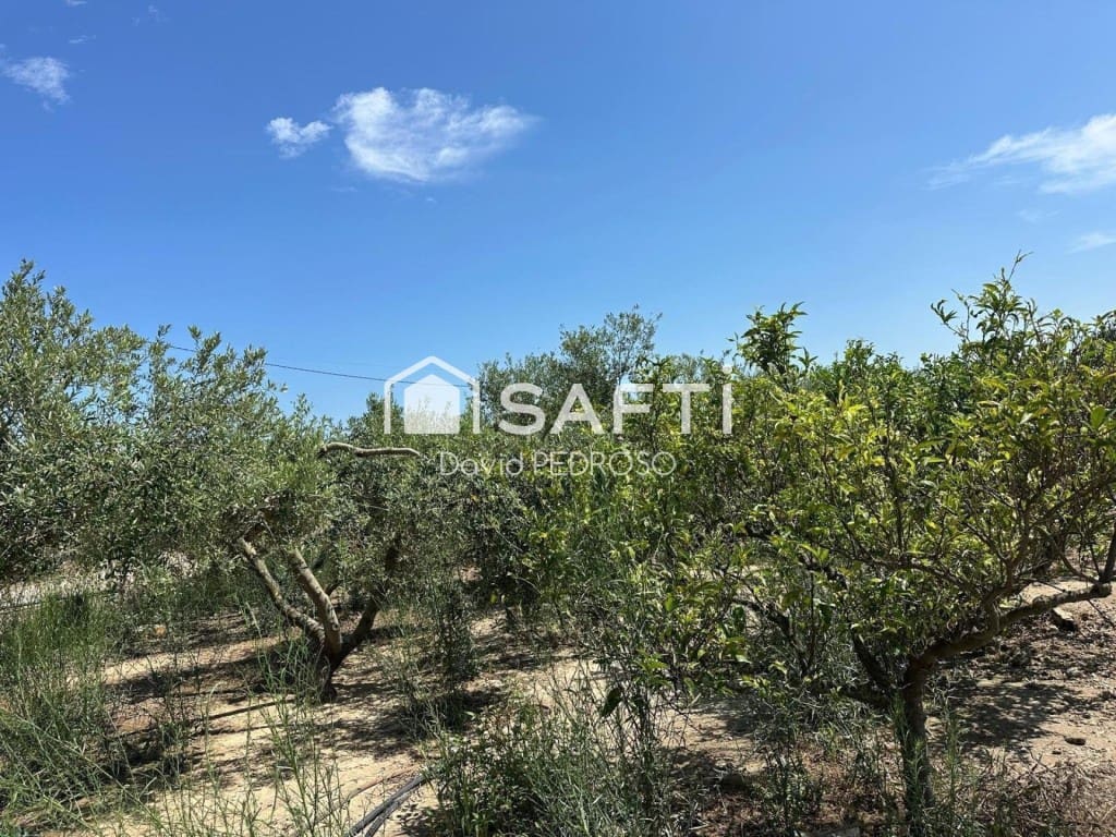 4 slaapkamer Villa te koop in Sant Jaume d'Enveja - € 187.000 (Ref: 10015270)